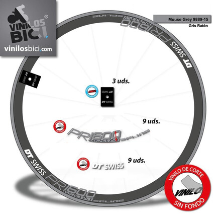 Pegatinas para Llantas Carretera DT Swiss PR 1600 perfil 32 en vinilo adhesivo stickers graphics calcas adesivi autocollants