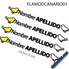 Canario+Tu Nombre vinilos