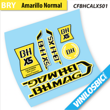 BH Mag X5 1970 Vinilos bici clasica