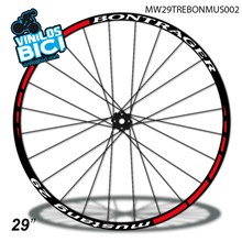 Bontrager 29 Vinilos