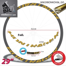 Bontrager vinilos adhesivos llanta 29"