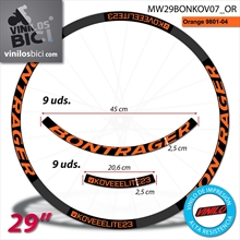 Bontrager vinilos adhesivos llanta 29"