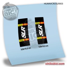 Bujes Mavic Crossmax SLR Adhesivos