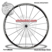 Campagnolo Adhesivos