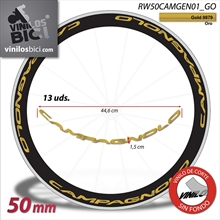 Campagnolo, pegatinas vinilo adhesivo