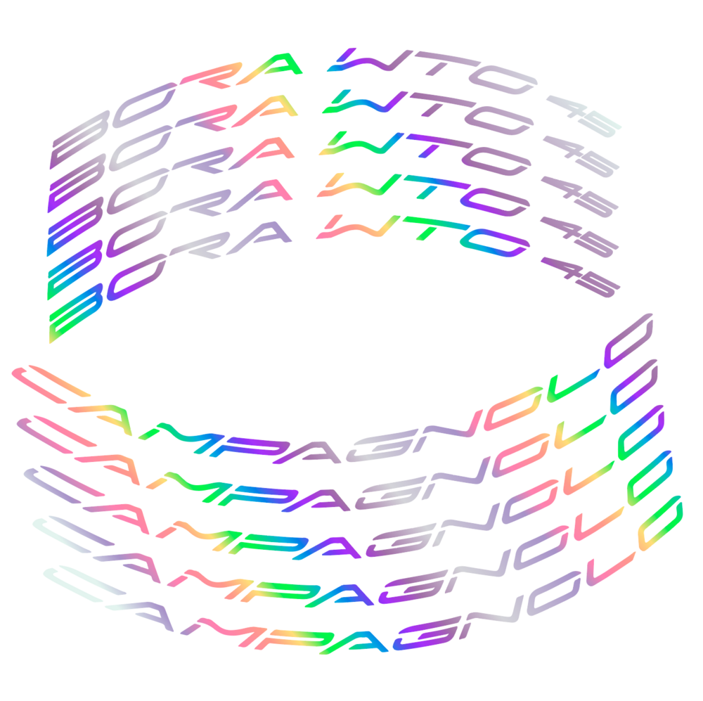 Campagnolo Bora WTO 45 Pegatinas en vinilo adhesivo Llantas Carretera Perfil 45