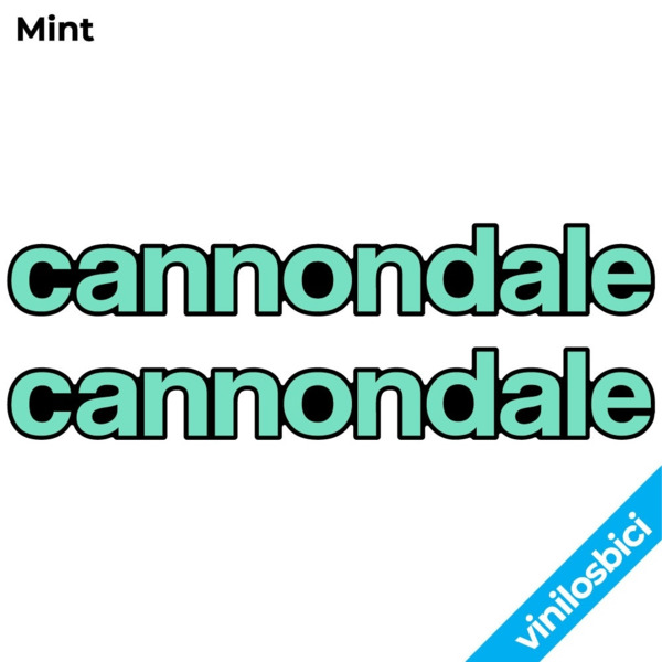 Cannondale Scalpel Carbon 2 2021 Pegatinas en vinilo adhesivo Cuadro (13)
