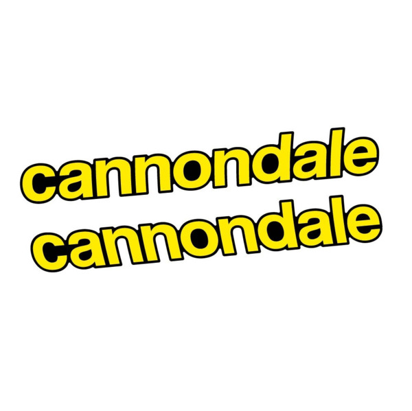 Cannondale Scalpel Carbon 2 2021 Pegatinas en vinilo adhesivo Cuadro (3)