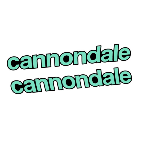 Cannondale Scalpel Carbon 2 2021 Pegatinas en vinilo adhesivo Cuadro (9)