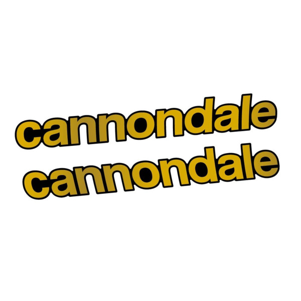 Cannondale Scalpel Carbon 2 2021 Pegatinas en vinilo adhesivo Cuadro (13)