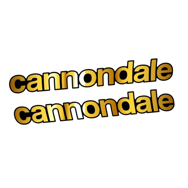 Cannondale Scalpel Carbon 2 2021 Pegatinas en vinilo adhesivo Cuadro (14)