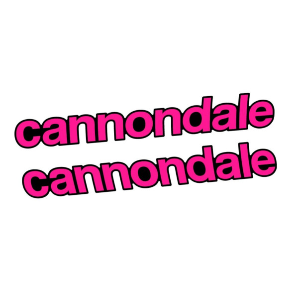 Cannondale Scalpel Carbon 2 2021 Pegatinas en vinilo adhesivo Cuadro (20)