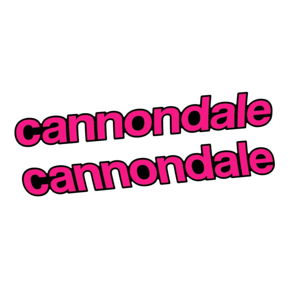 Cannondale Scalpel Carbon 2 2021 Pegatinas en vinilo adhesivo Cuadro (21)