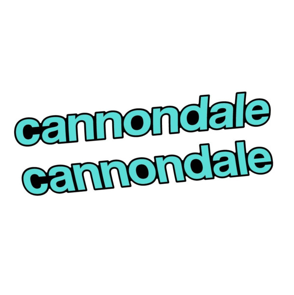 Cannondale Scalpel Carbon 2 2021 Pegatinas en vinilo adhesivo Cuadro (22)