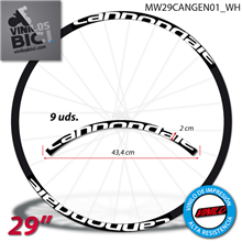 Cannondale vinilos llanta 29"