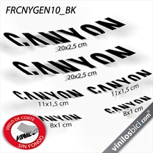 Canyon vinilos cuadro