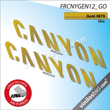 Canyon vinilos cuadro