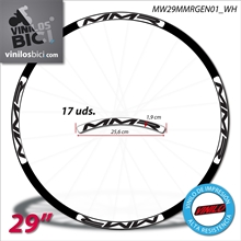 MMR 29" vinilos