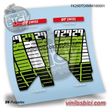DT Swiss 29 Adhesivos