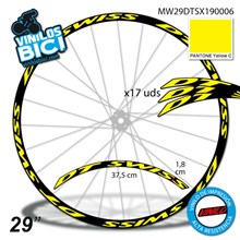DT Swiss 29" vinilos