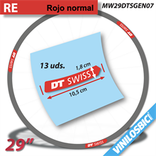 DT Swiss 29" Vinilos