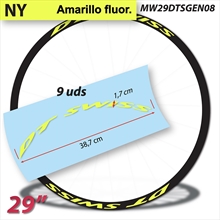 DT Swiss 29" vinilos