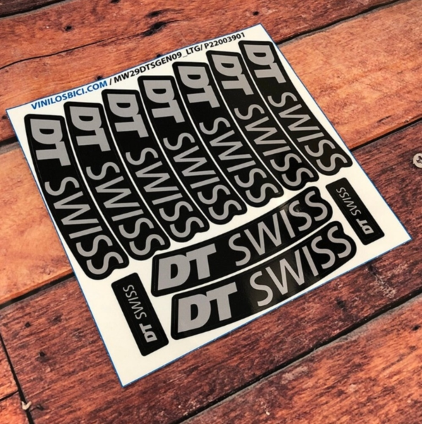 DT Swiss 29" Vinilos (1)