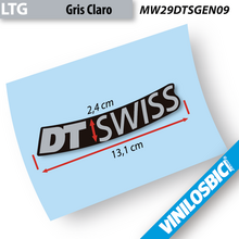 DT Swiss 29" Vinilos