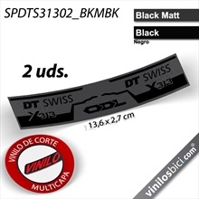 DT Swiss 313 vinilos amortiguador