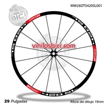 DT Swiss 420SL Adhesivos