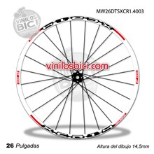 DT Swiss 420SL Adhesivos