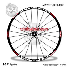 DT Swiss 420SL Adhesivos