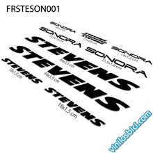 Stevens Sonora Vinilos para cuadro