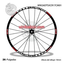 DT Swiss XCR 1.7 Cross Mountain Adhesivos