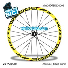 DT Swiss E2200 Adhesivos