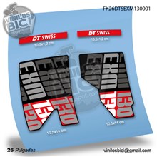 DT Swiss EXM130 26 Adhesivos