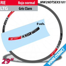 DT Swiss EX511 pegatinas en vinilo adhesivo llantas 29"