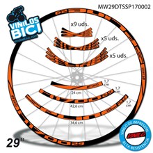 DT Swiss Spline 1700 Adhesivos
