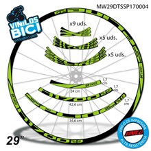 DT Swiss Spline 1700 Adhesivos