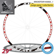 DT Swiss Spline 1800 Adhesivos(1 llanta)