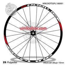 DT Swiss Spline 1800 Adhesivos