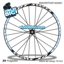 DT Swiss Spline 1800 Adhesivos