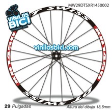 DT Swiss Spline 1800 Adhesivos