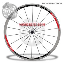 Dt Swiss Spline Adhesivos