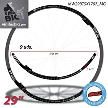 DT Swiss Spline X1700 29" Pegatinas vinilo adhesivo