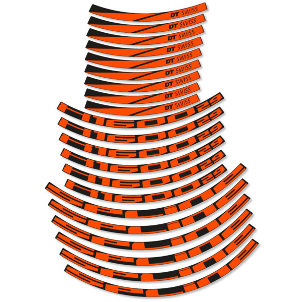 DT Swiss Spline X1600 Pegatinas en vinilo adhesivo Llanta MTB (10)