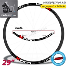 DT Swiss Spline X1700 29" Pegatinas vinilo adhesivo