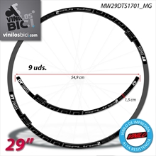 DT Swiss Spline E1700 29" Pegatinas vinilo adhesivo