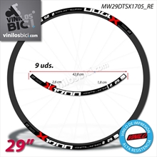 DT Swiss Spline X1700 29" Pegatinas vinilo adhesivo