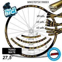 DT Swiss Spline X1900 27,5 vinilos